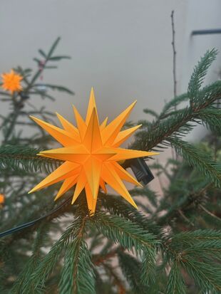 Weihnachtsstern am Weihnachtsbaum